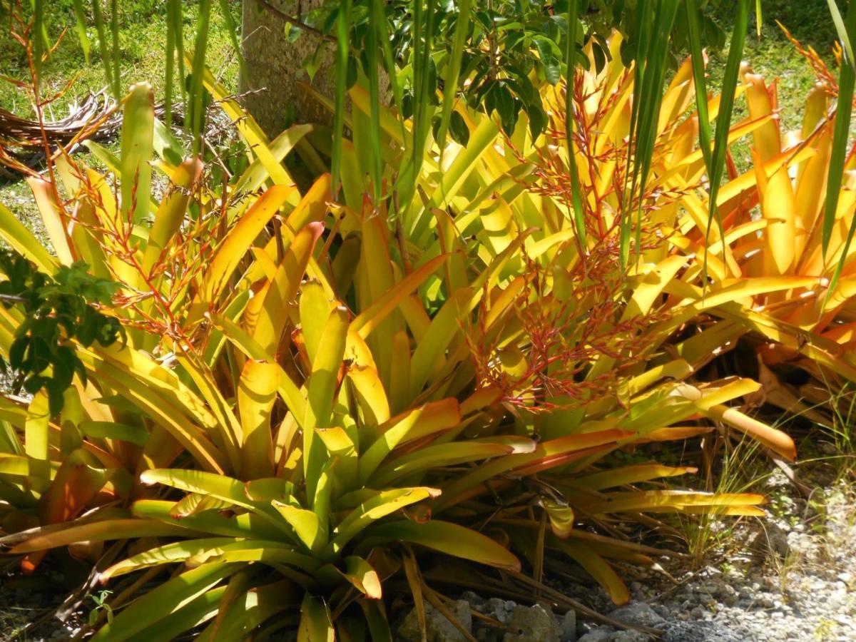Florida Keys Marathon Exterior foto